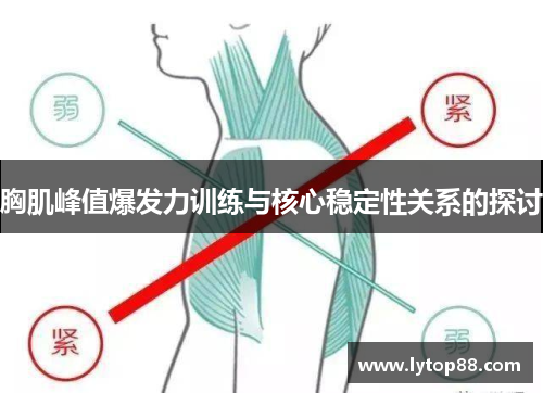 胸肌峰值爆发力训练与核心稳定性关系的探讨